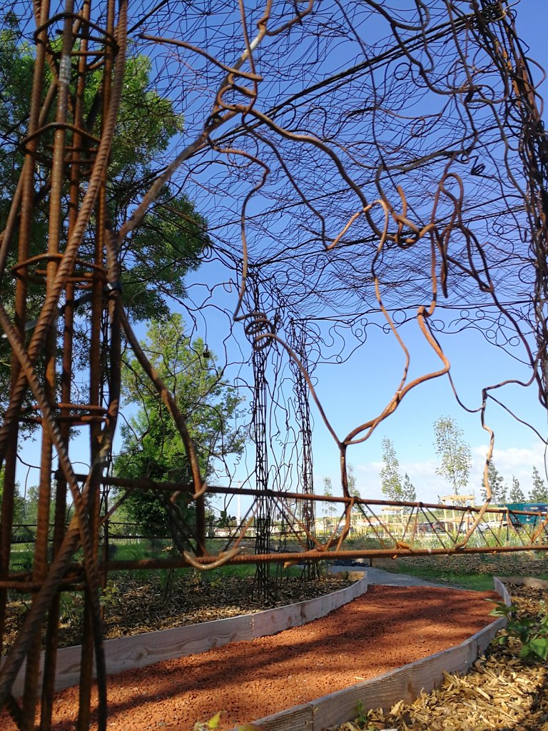 IMG-20190529-095639.jpg