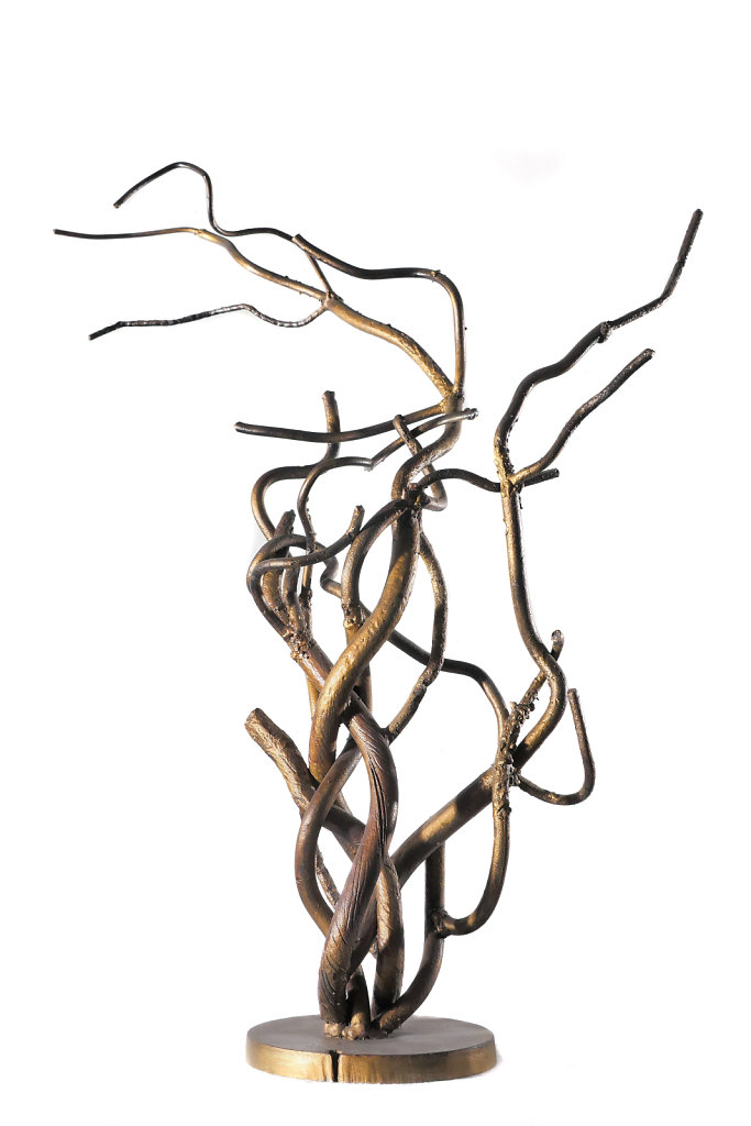 Branches bronze
